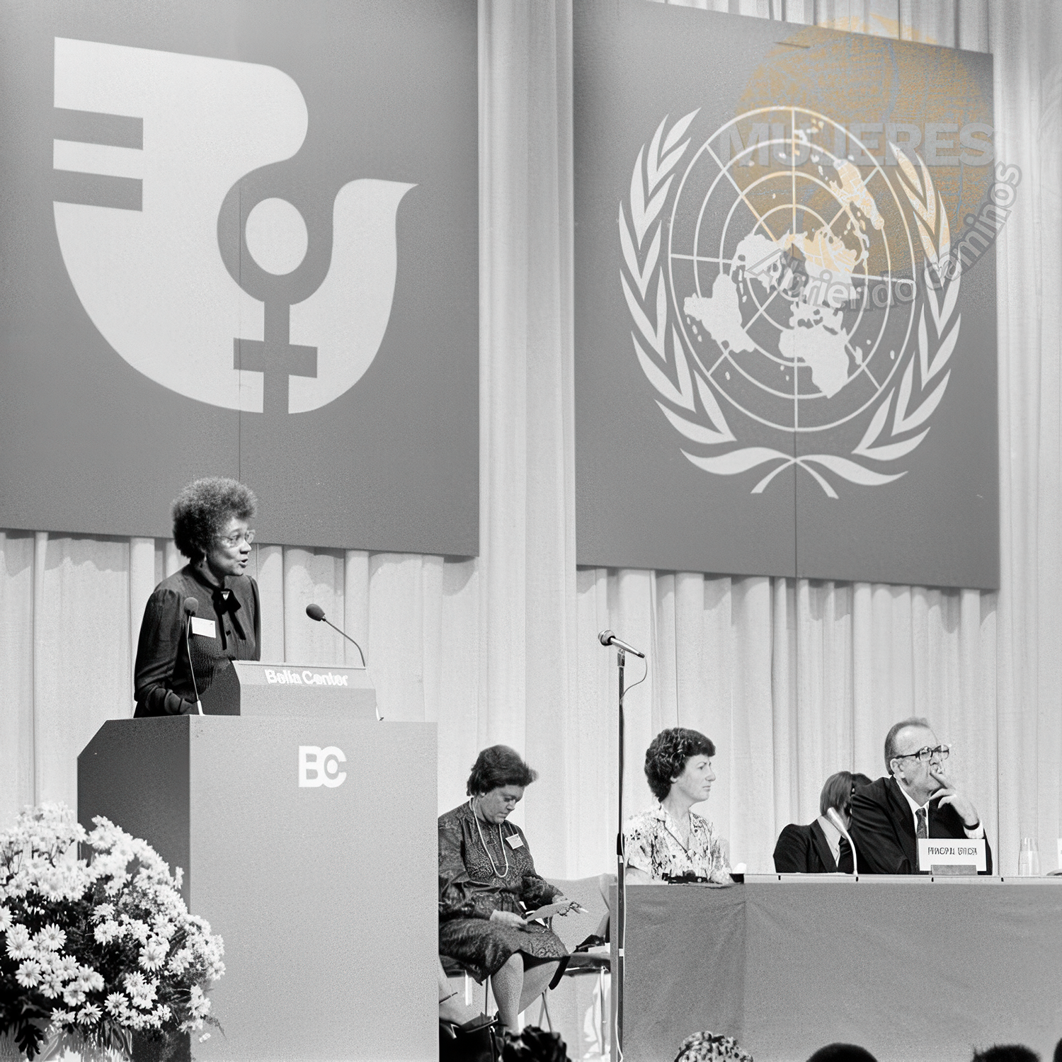 1976 - Fondo ONU Mujer