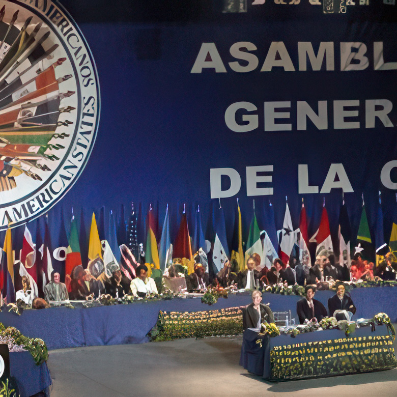 2017 - Convención contra el racismo