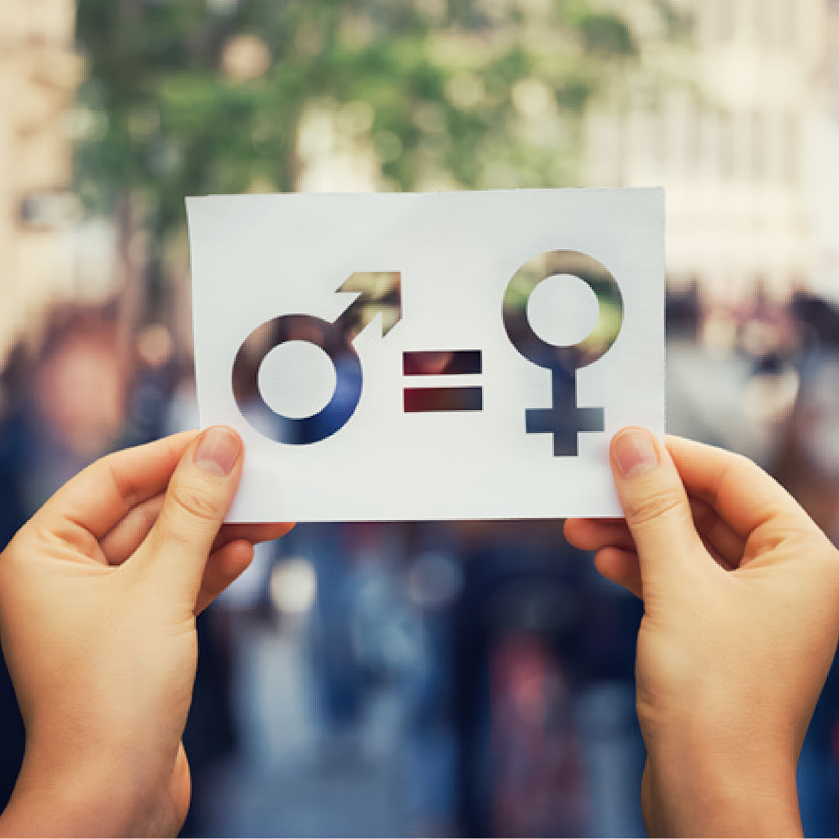 2019 - Ley de igualdad